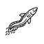 EelJet